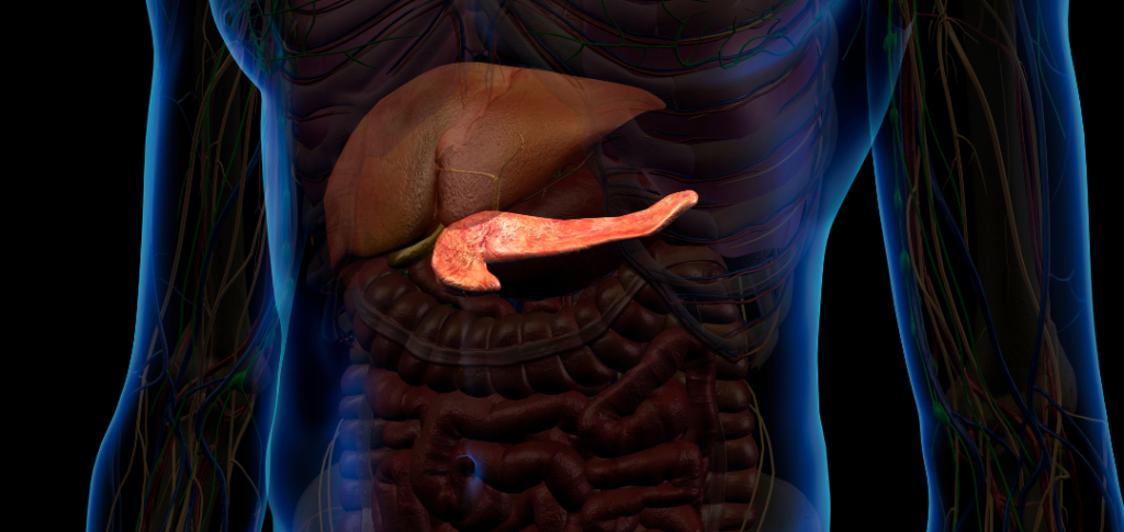 sindrome-metabolica